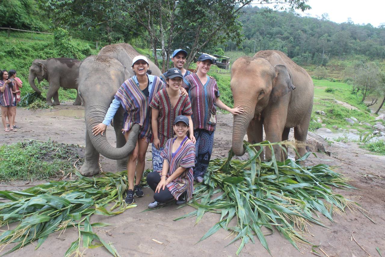 Elephant Sanctuary Chiang Mai